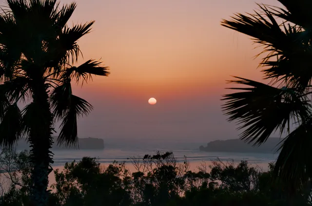 The sun setting over the water, framed by palm trees